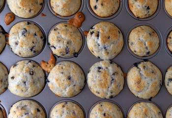 Top view of bite size blueberry muffins in a mini muffin baking pan.