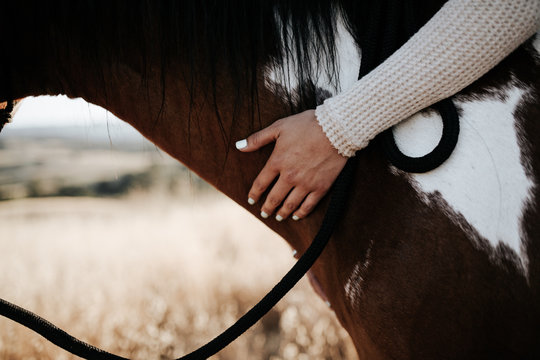 Hand Patting Neck Of Horse