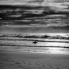 surfing life © Kris