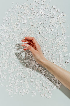 Egg shells