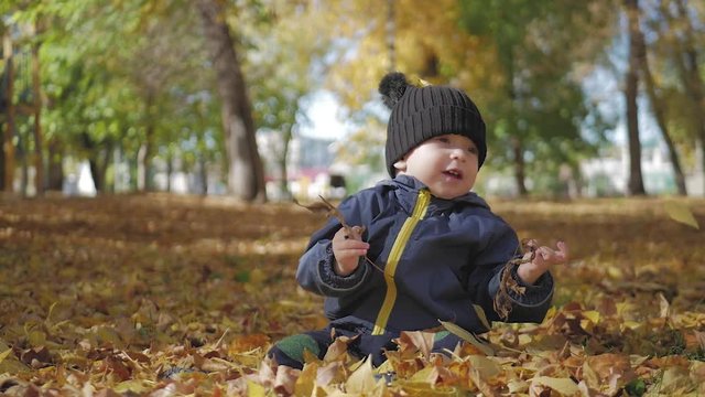 Little baby boy sitting on grass and fallen leaves in park on bright and sunny early autumn day looking at yellow leaf in hand and smiling. Happy baby boy throws autumn leaves and laughs outdoors.