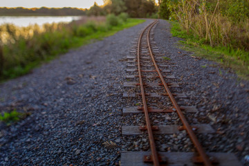railway in the forest