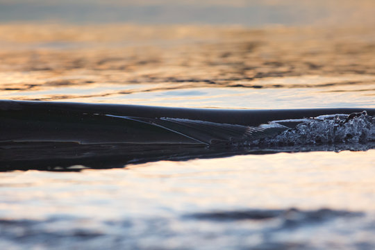 Glassy Morning Mini
