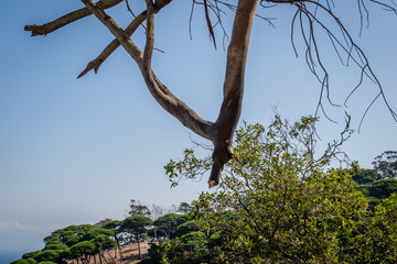 A beautiful day in forest and sea in Rmilat forest in Tangier