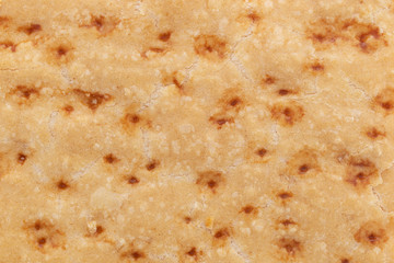 A very close view of the pastry crust of a freshly baked lemon bar.