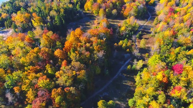Dazzling aerial view breathtaking Autumn colors, Door County Wisconsin.
