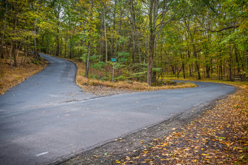 Fototapeta premium Two Roads