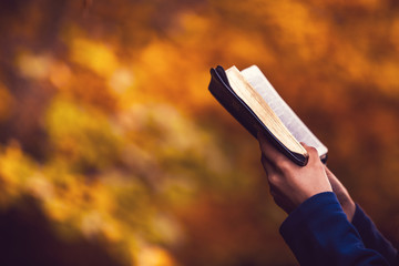 Reading the Bible in an autumn forest