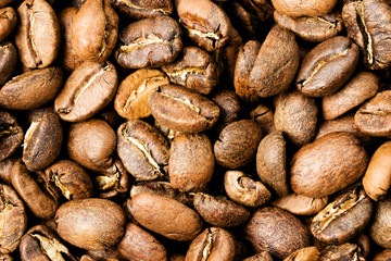 Freshly roasted coffee