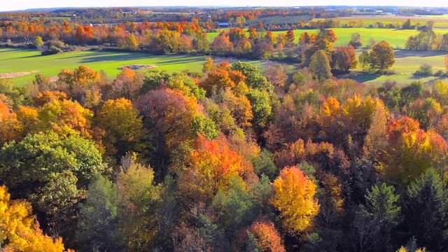 Dazzling aerial view breathtaking Autumn colors, Door County Wisconsin.

