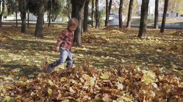 Happy little boy playing with autumn leaves throwing leaves in park