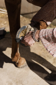 Crop woman cleaning horse hooves