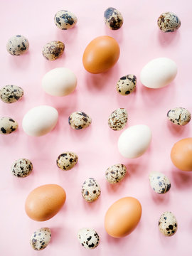Composed raw eggs on pink