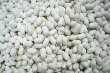 These are many silkworm (Bombyx Mori) cocoons. This is a natural source of silk before it's processed.Natural white  cocoon or silkworm nets for background, a source of silk thread and silk fabric
