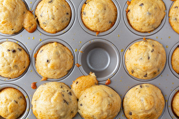 Top view of warm bite size chocolate chip muffins in a mini muffin baking pan with one missing.