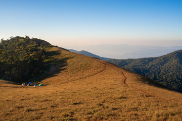 Beautiful view of golden meadow on top of mountain