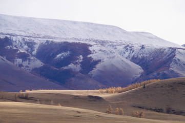 BBeautiful Kurai Valley in autumn,Altai,Russia.