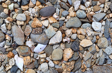 Close view of a broken seashells plus colorful rocks and pebbles.