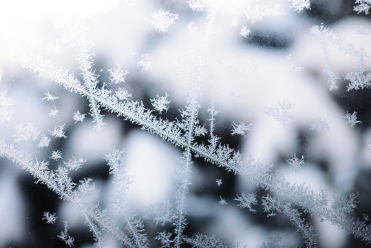 Beautiful Frost Macro