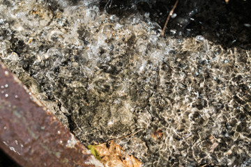 water on nature splashes drops reflection bubbles for background design