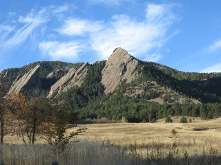 golden field leading to rocky mountain