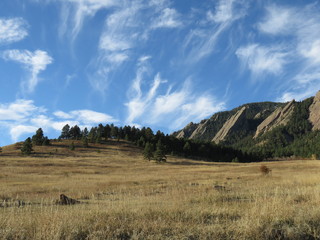 Fototapeta premium gold field meets blue sky in the mountains