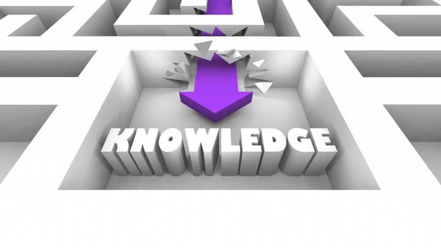Knowledge Word Maze Research Gain Intelligence 3d Animation