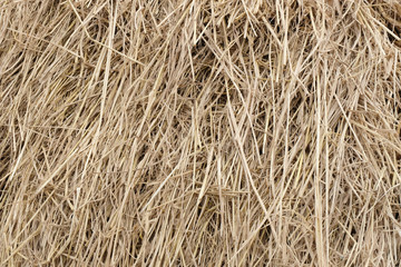 pile of straw background