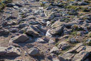 rocky path in the mountains