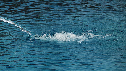 Naklejka premium Water background / Water is the most common liquid on Earth