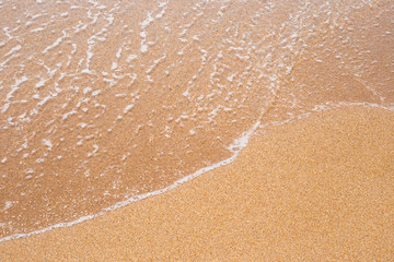 sandy beach is washed by a wave