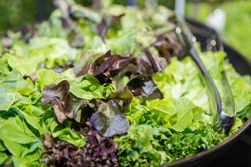 Vegetable salad in a large bowl