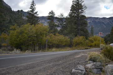 Mount Charleston October