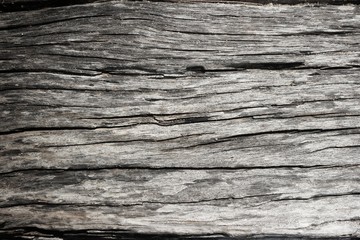 Fototapeta premium Texture of Bark and sand.