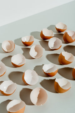 Egg shells