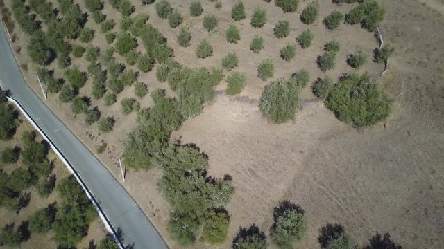 4k aerial drone footage - The medieval Evoramonte Castle.  Near Lisbon
