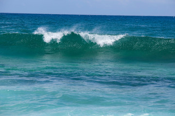 Kauai Wave