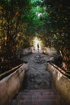 The Escalera del Agua, starway in the Generalife gardens of the Alhambra, Granada.