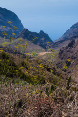 Naklejka premium Stunning view of the gorge and the village of Masca.Tenerife. Canary Islands..Spain