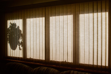 View of flower basket shadow silhouette in window with vertical blinds