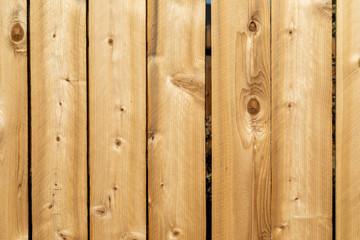 Weathered wood background surface. New wooden wall texture planks with knots.