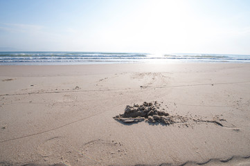 Obraz premium Landscape of the beach