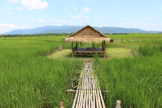 Traditional oriental style bamboo hut set in the middle of a rice field with view of distant mountains and blue sky, Chanthaburi province, Thailand.