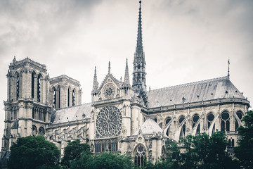 Notre Dame Paris - 229295319