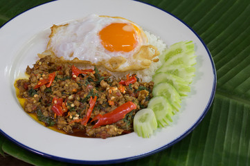 Stir Fried Chicken with Holy Basil and Fried egg, on rice in white dish popular thai food