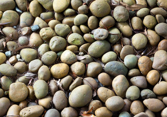 Sea Stone texture background.