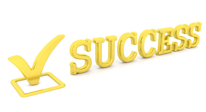 Check mark and word Success