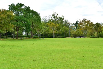 Fototapeta na wymiar 広い芝生広場の公園