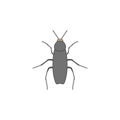 cockroach colored outline icon. One of the collection icons for websites, web design, mobile app