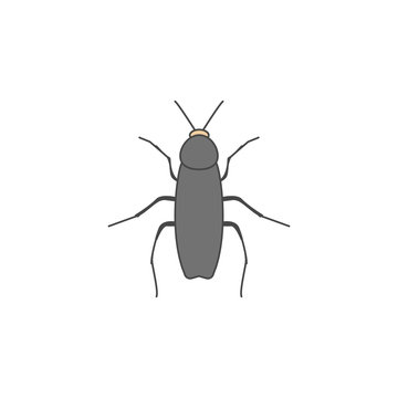 cockroach colored outline icon. One of the collection icons for websites, web design, mobile app